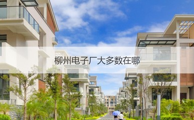 柳州电子厂工资怎么样 柳州电子厂大多数在哪